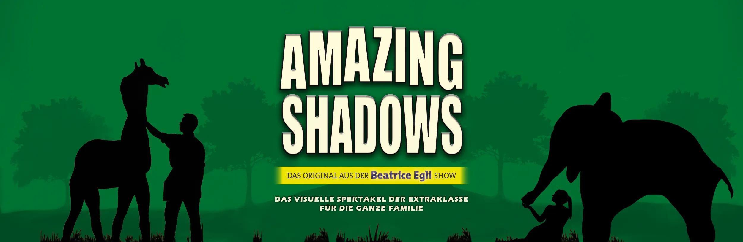 Amazing Shadows Header